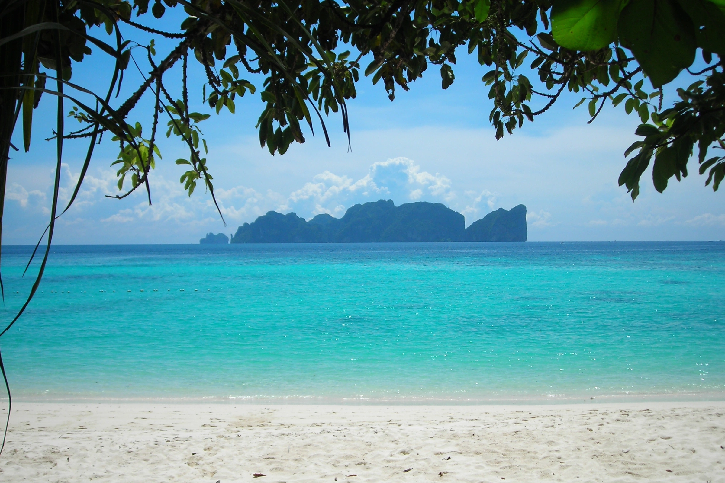 Ko_Phi_Phi_Lee[1].webp